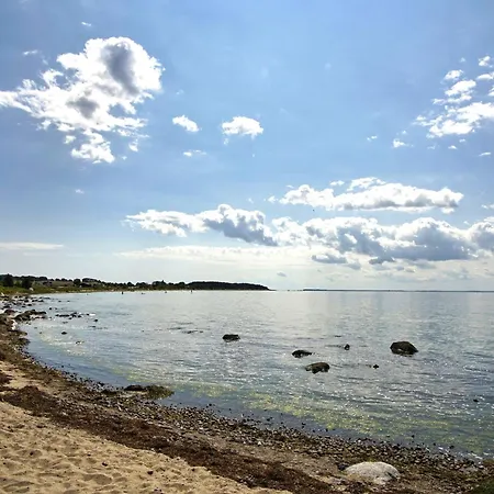 Ruegenreif Nr 02 * Klein Zicker