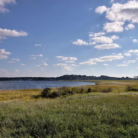 Ruegenreif Nr 02 * Klein Zicker